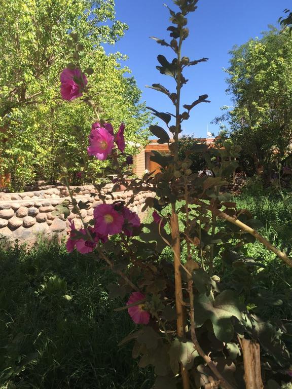 Hostal Corvatsch San Pedro De Atacama Esterno foto